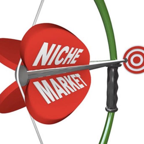 Niş Marketingi inşaatda tətbiqə cəhd