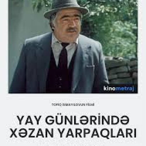 Fikirləşmək həyatda heç kimə mane olmayıb!